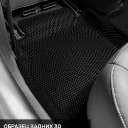 Левый пассажир