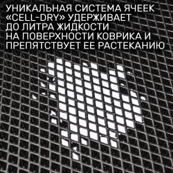 2D коврики EVA Belgee X50 (2019-н.в)