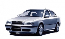 3D коврики EVA с бортами в салон на Skoda Octavia I A4 (1996-2010)
